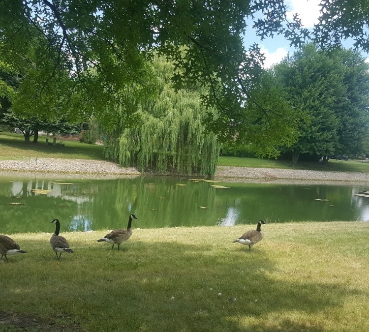 Indian Chase Meadows Park, Bolingbrook Park District (Bolingbrook,&nbspIL)